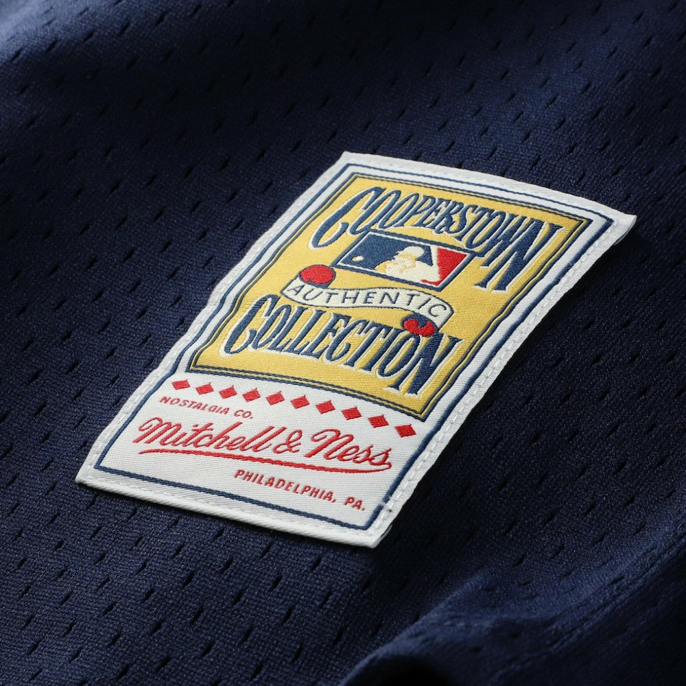 Carlton Fisk Chicago White Sox Mitchell & Ness Authentic Batting Practice Jersey - MLB Jerseys