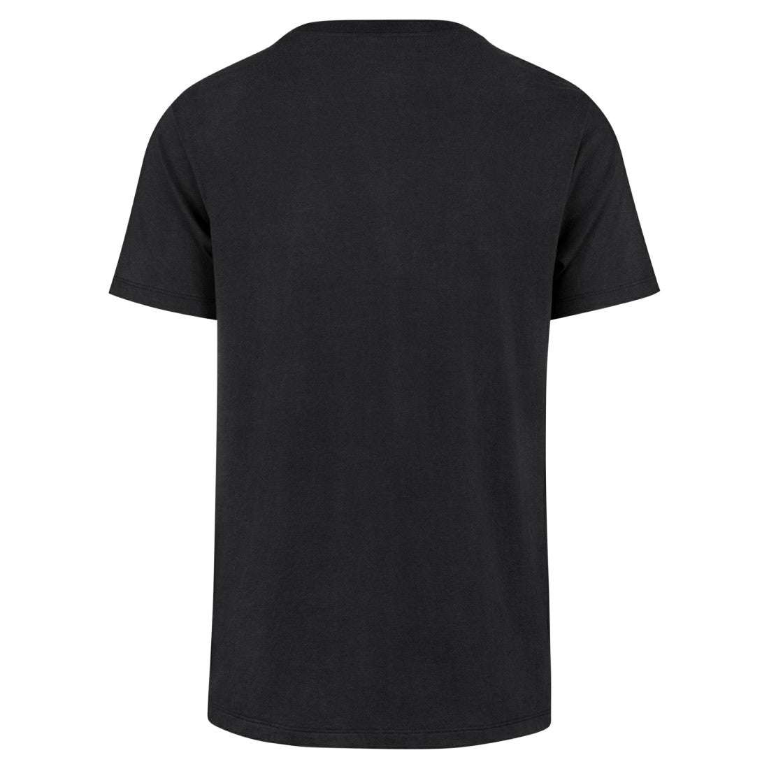 Detroit Lions '47 Regional Franklin T-Shirt | NFL Discount