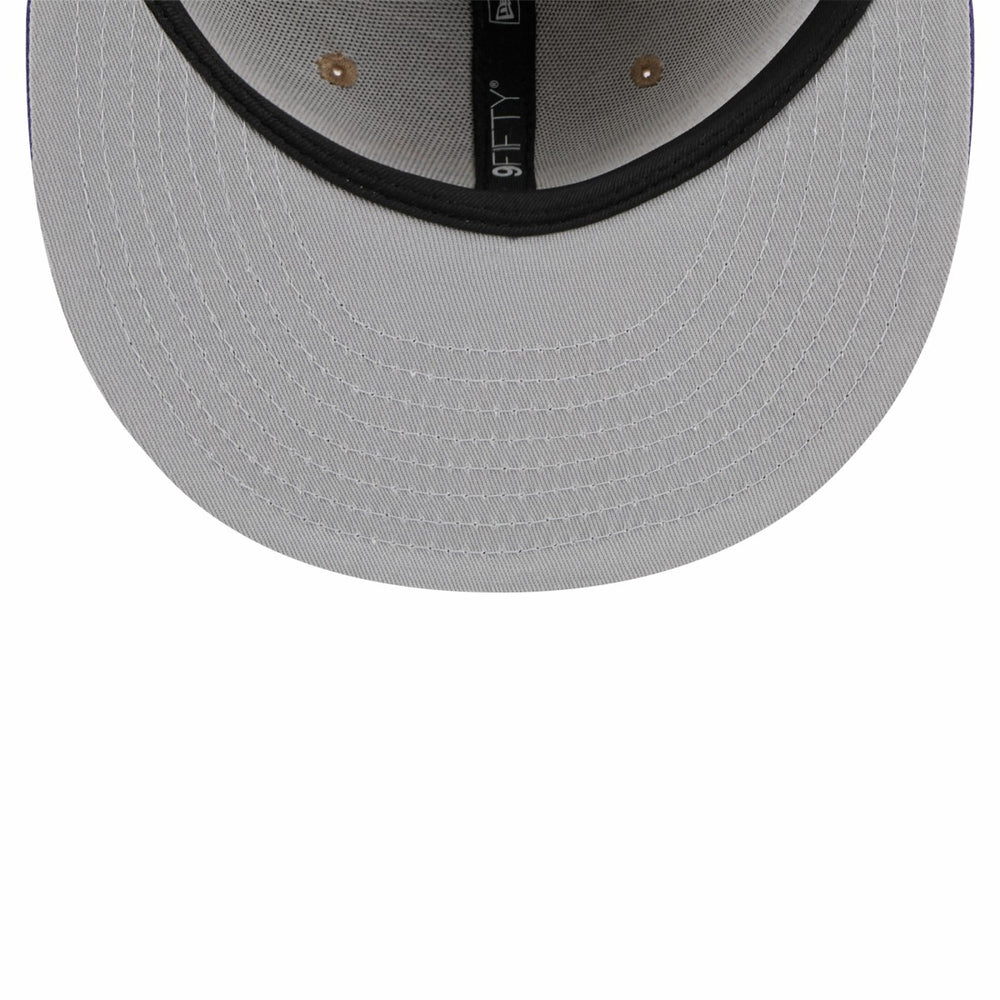 Tan/Purple Phoenix Suns 2024 NBA Draft 9FIFTY Snapback Hat | NBA