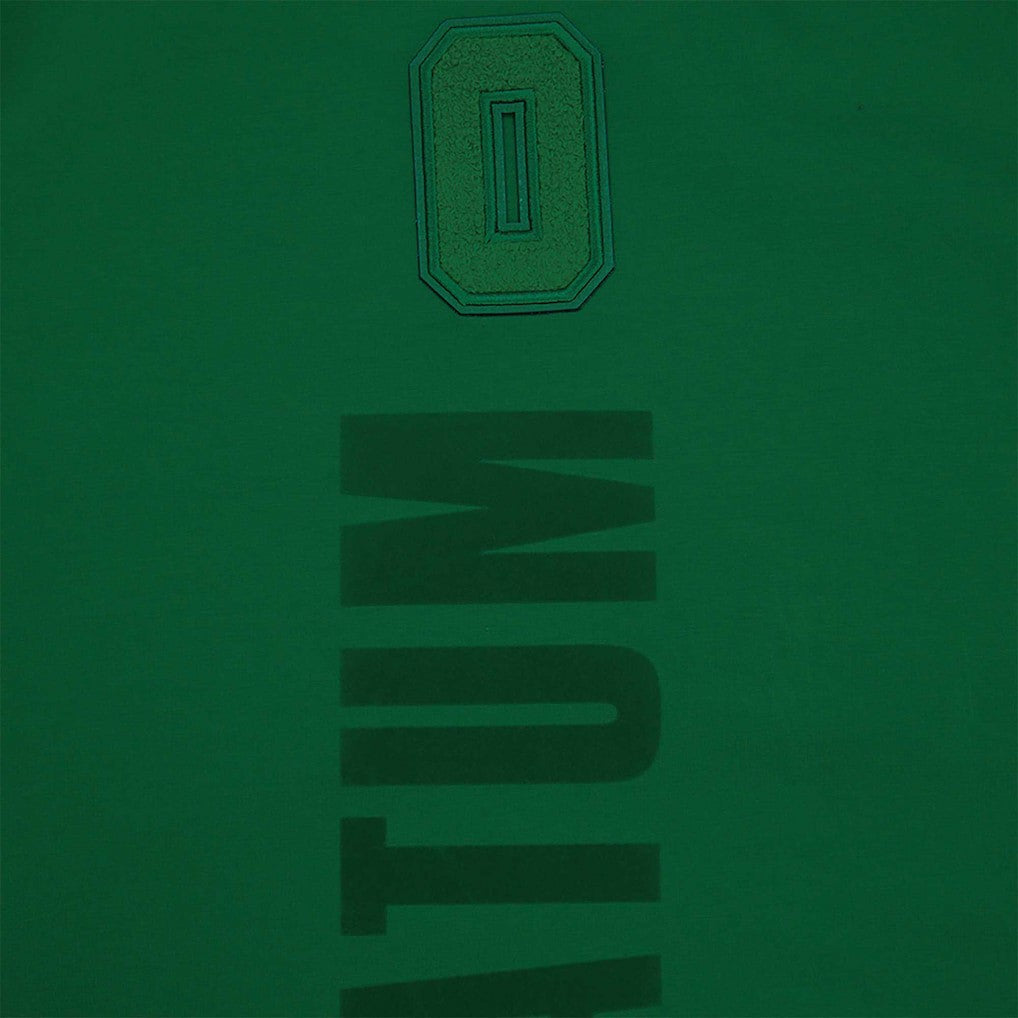 Kelly Green Jayson Tatum Boston Celtics Pro Standard Triple Tonal Player T-Shirt | NBA