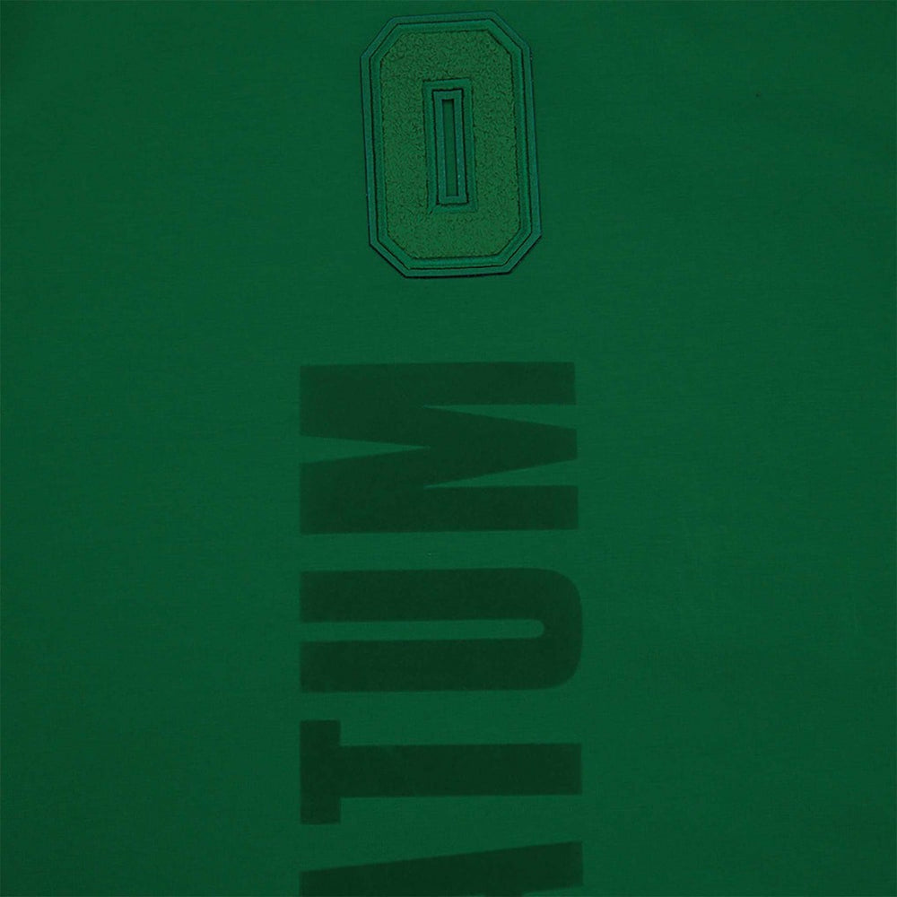 Kelly Green Jayson Tatum Boston Celtics Pro Standard Triple Tonal Player T-Shirt | NBA