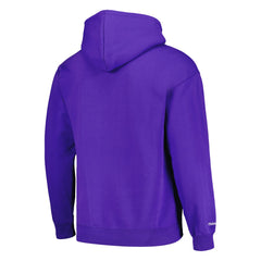 Purple Phoenix Suns Hardwood Classics Tonal Pullover Hoodie | NBA