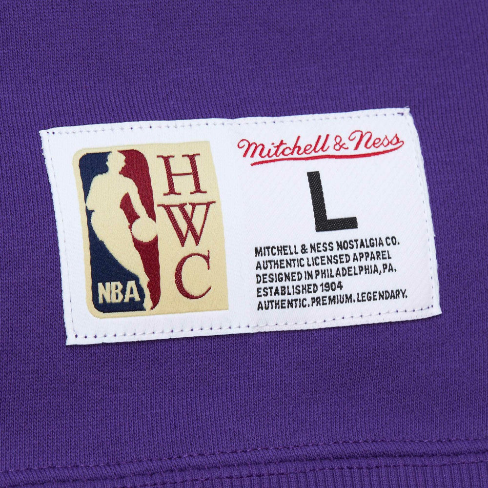 Purple Sacramento Kings Hardwood Classics Tonal Pullover Hoodie | NBA