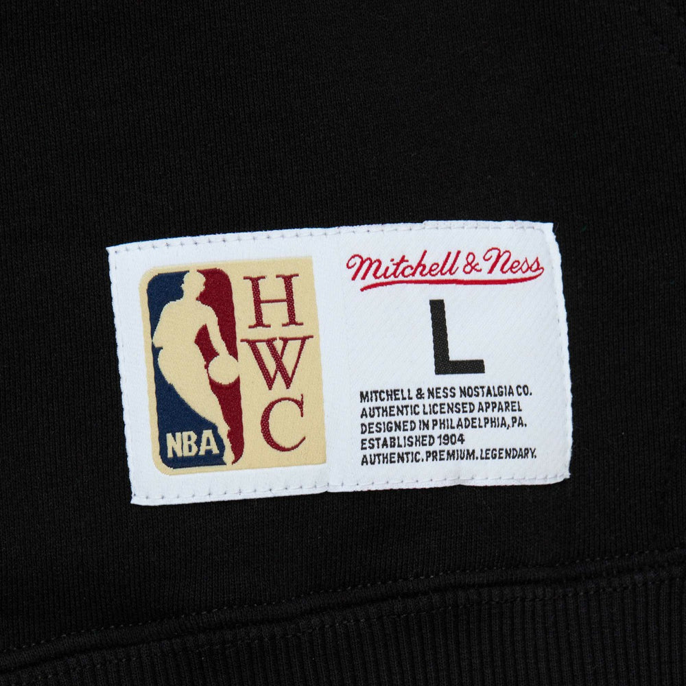 Black Toronto Raptors Hardwood Classics Tonal Pullover Hoodie | NBA