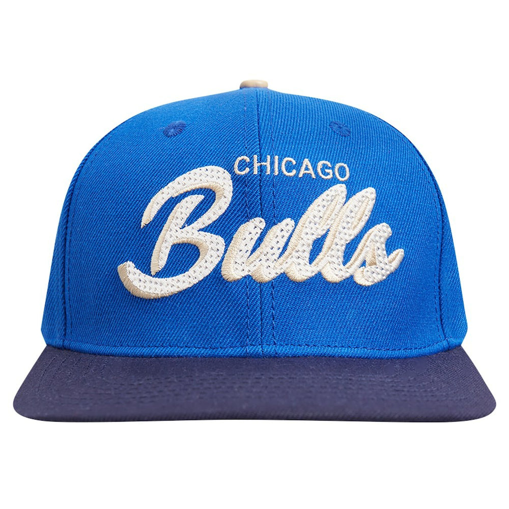 Blue/Navy Chicago Bulls Pro Standard Legacy Snapback Hat | NBA