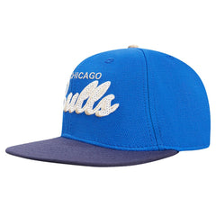 Blue/Navy Chicago Bulls Pro Standard Legacy Snapback Hat | NBA