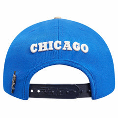 Blue/Navy Chicago Bulls Pro Standard Legacy Snapback Hat | NBA