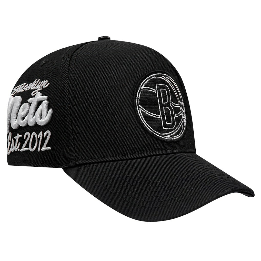 Black Brooklyn Nets Pro Standard Paint the City Pinch Front Snapback Hat | NBA