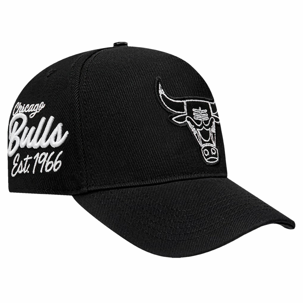 Black Chicago Bulls Pro Standard Paint the City Pinch Front Snapback Hat | NBA