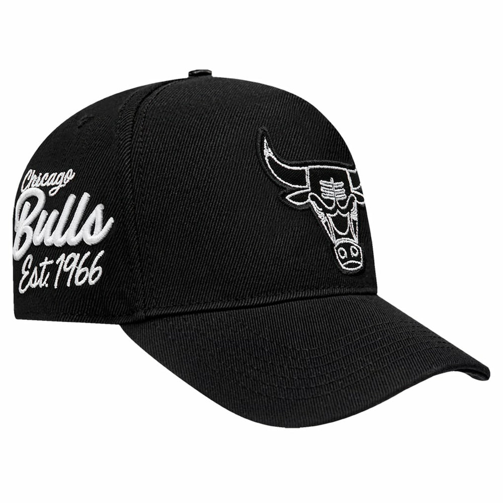 Black Chicago Bulls Pro Standard Paint the City Pinch Front Snapback Hat | NBA