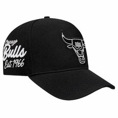Black Chicago Bulls Pro Standard Paint the City Pinch Front Snapback Hat | NBA