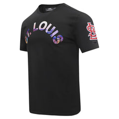 St. Louis Cardinals Pro Standard Cityscape T-Shirt - MLB T-shirts