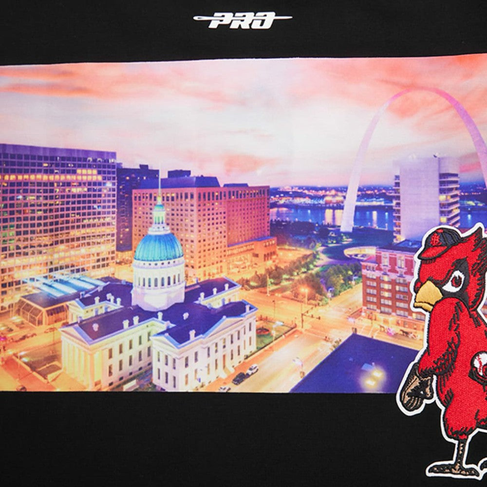 St. Louis Cardinals Pro Standard Cityscape T-Shirt - MLB T-shirts
