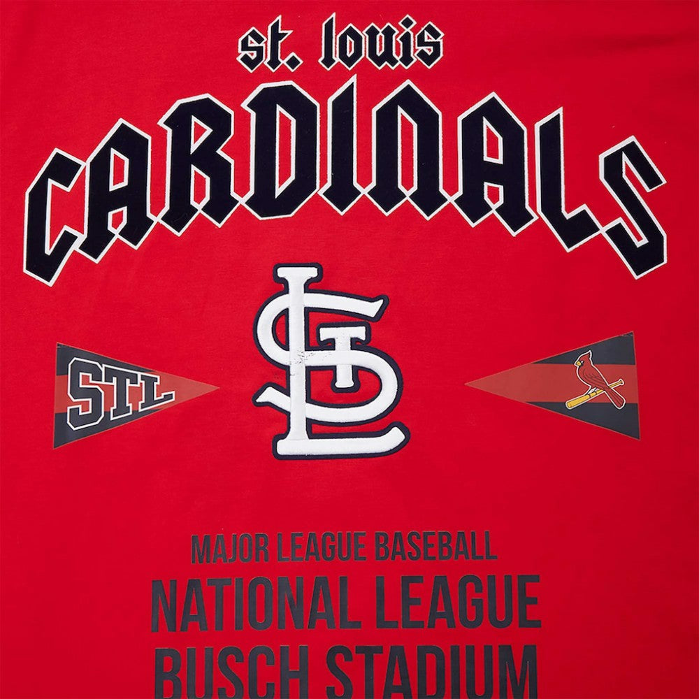 St. Louis Cardinals Pro Standard Oversized City Tour T-Shirt - MLB T-shirts