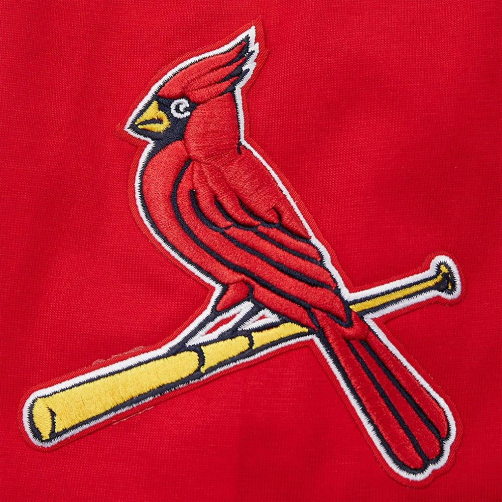 St. Louis Cardinals Pro Standard Oversized City Tour T-Shirt - MLB T-shirts