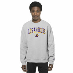 Gray Los Angeles Lakers Chenille Cross Over Pullover Sweatshirt | NBA