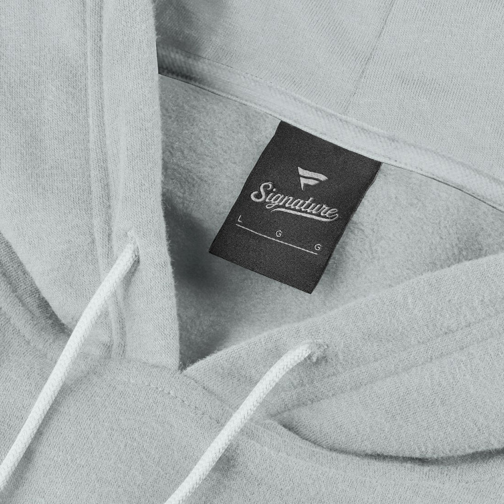 Detroit Lions Unisex Sleek Elements Pullover Hoodie | NFL Sale