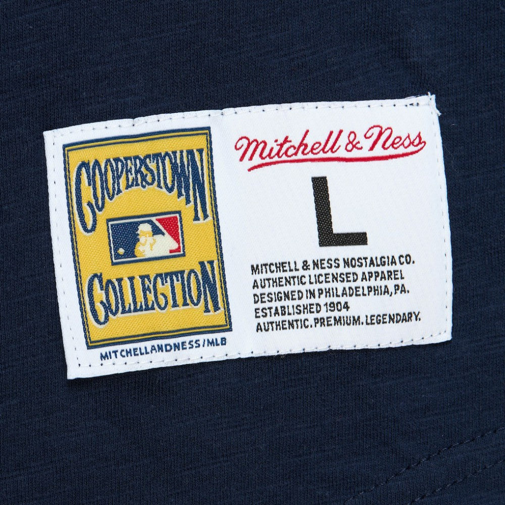 St. Louis Cardinals Mitchell & Ness Cooperstown Collection Legendary Raglan Slub Henley Three-Quarter Sleeve T-Shirt - MLB T-shirts