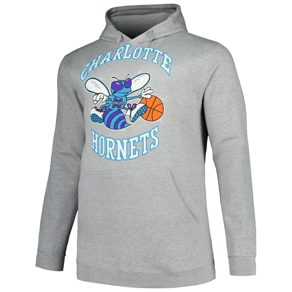 Heather Gray Charlotte Hornets Hardwood Classics Big & Tall Pullover Hoodie | NBA