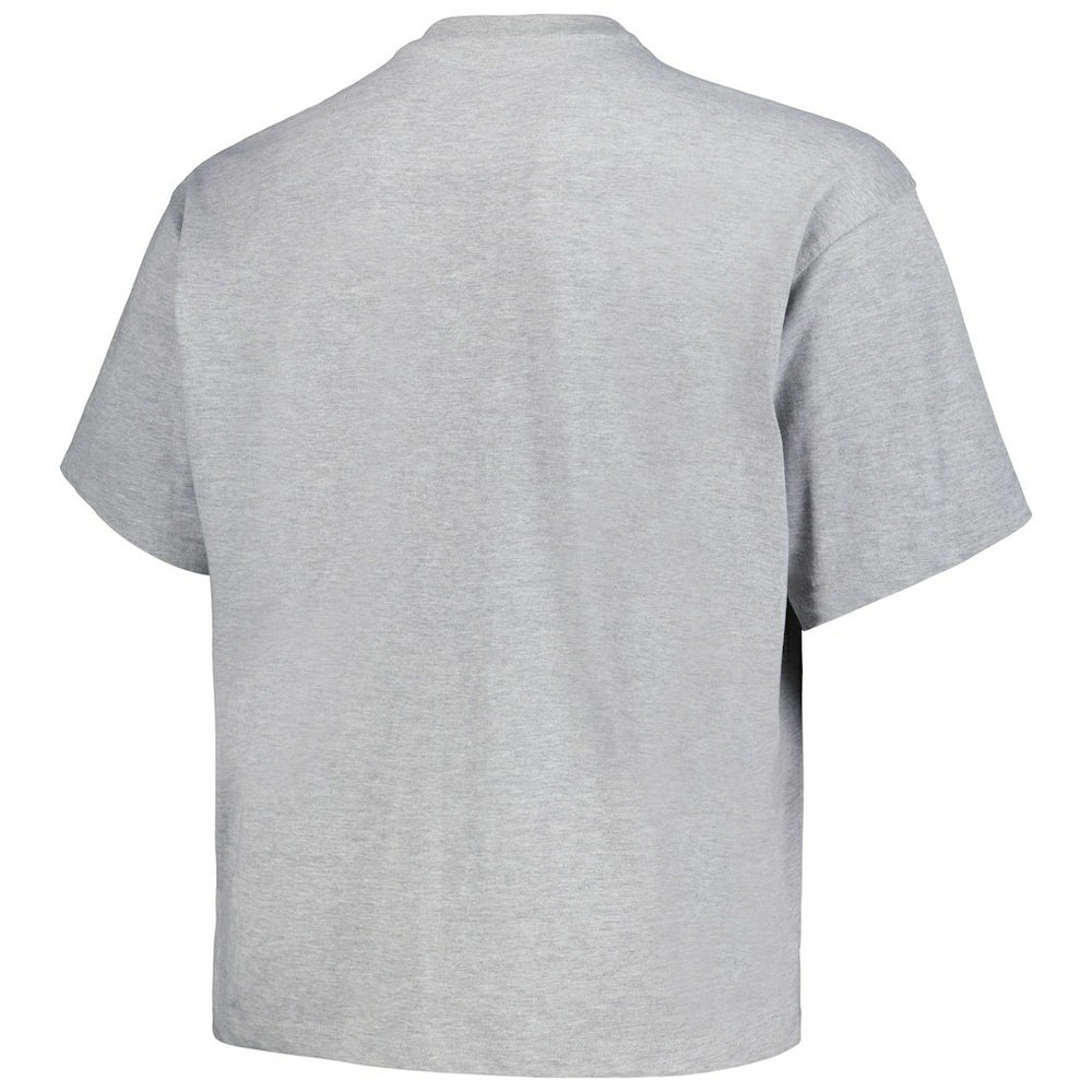 Heather Gray Denver Nuggets Big & Tall Hardwood Classics Vintage Logo T-Shirt sale | NBA