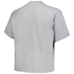 Heather Gray Denver Nuggets Big & Tall Hardwood Classics Vintage Logo T-Shirt sale | NBA