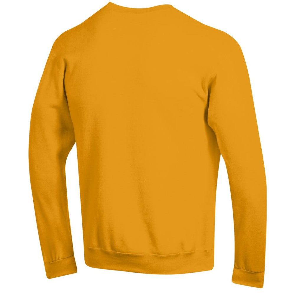 Pittsburgh Penguins Champion Eco Powerblend Crewneck Sweatshirt -  NHL Sweatshirts