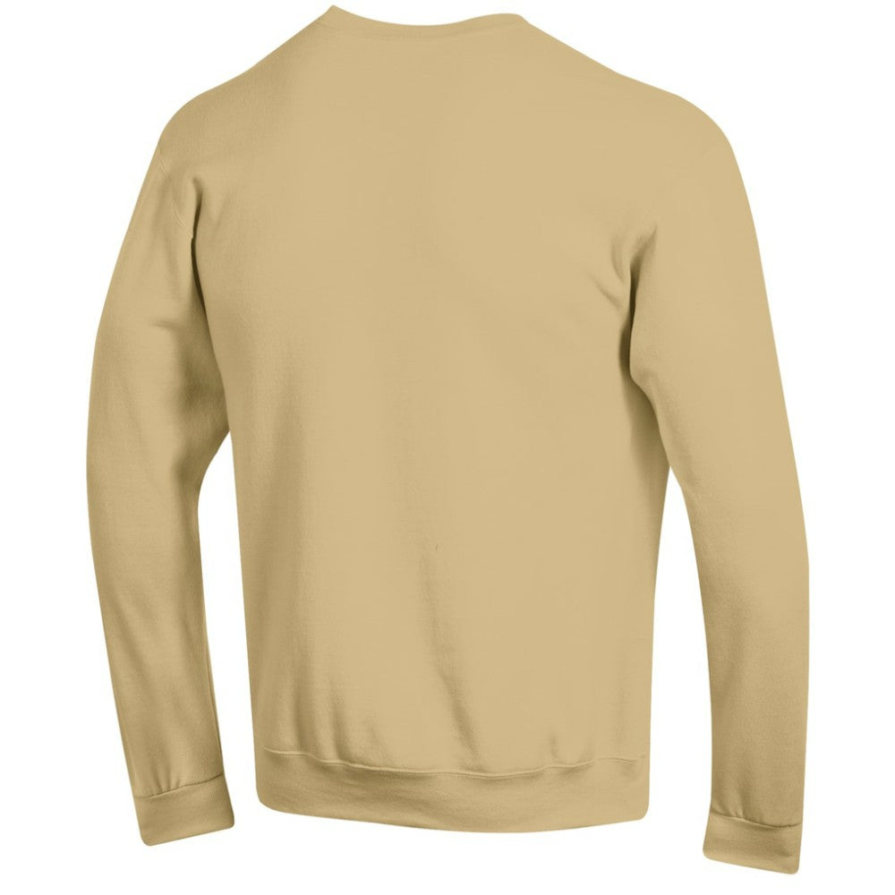 Vegas Golden Knights Champion Eco Powerblend Crewneck Sweatshirt -  NHL Sweatshirts