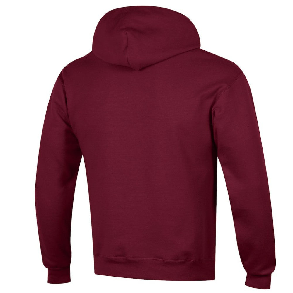 Colorado Avalanche Champion Eco Powerblend Pullover Hoodie -  NHL Hoodies