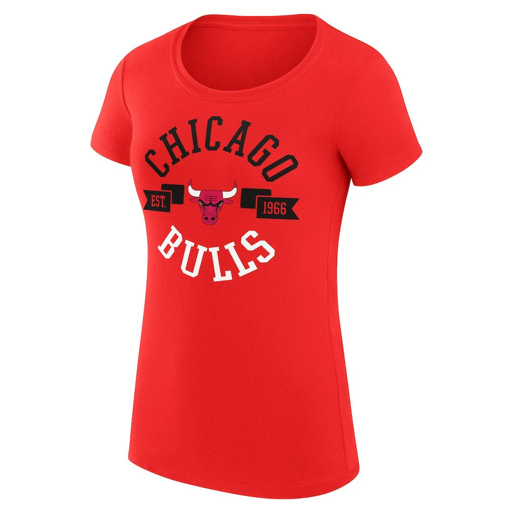 Red Chicago Bulls G-III 4Her by Carl Banks Women's Super-Slim Fit Lightweight Large City Logo T-Shirt sale | NBA