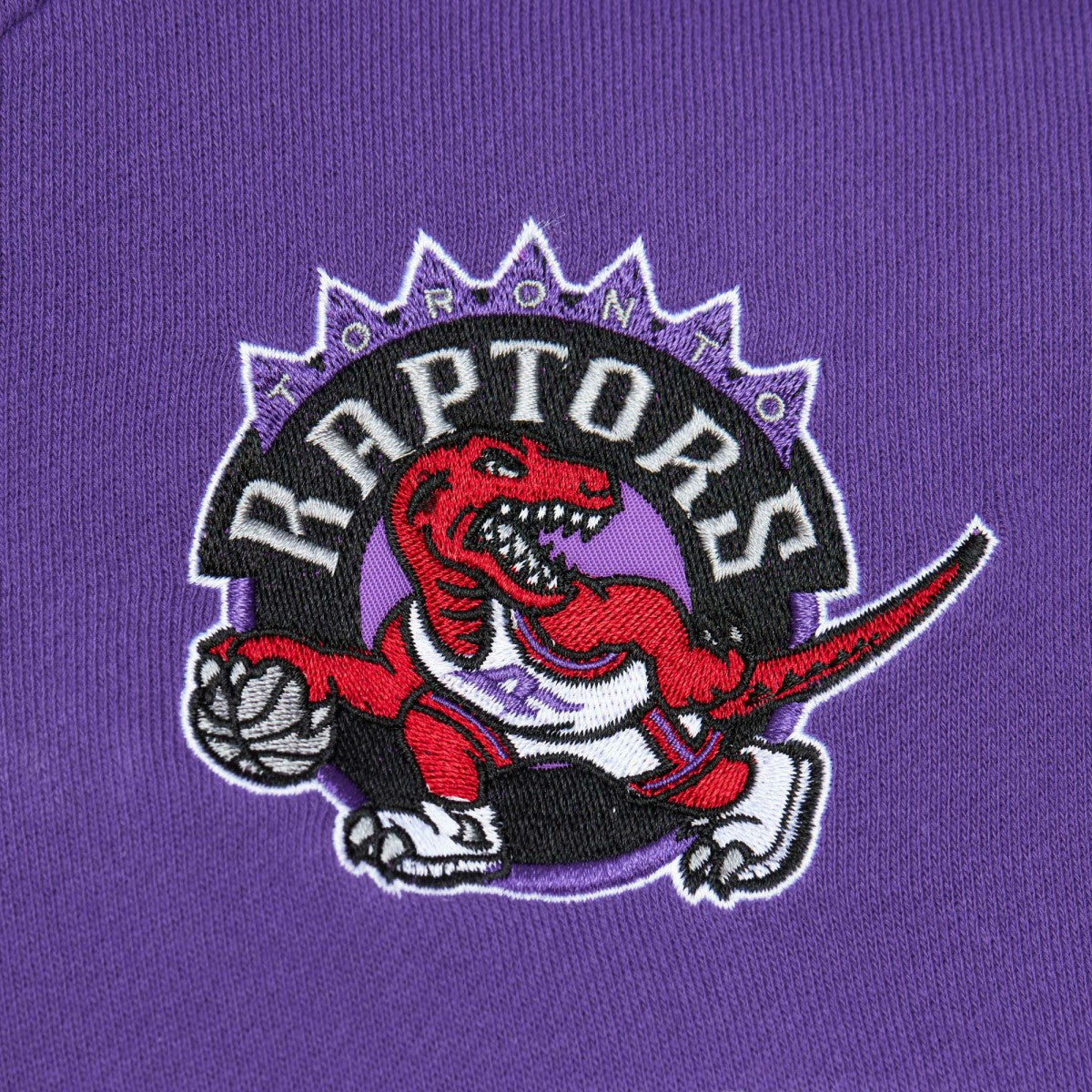 Red/Purple Toronto Raptors Head Coach Pullover Hoodie | NBA