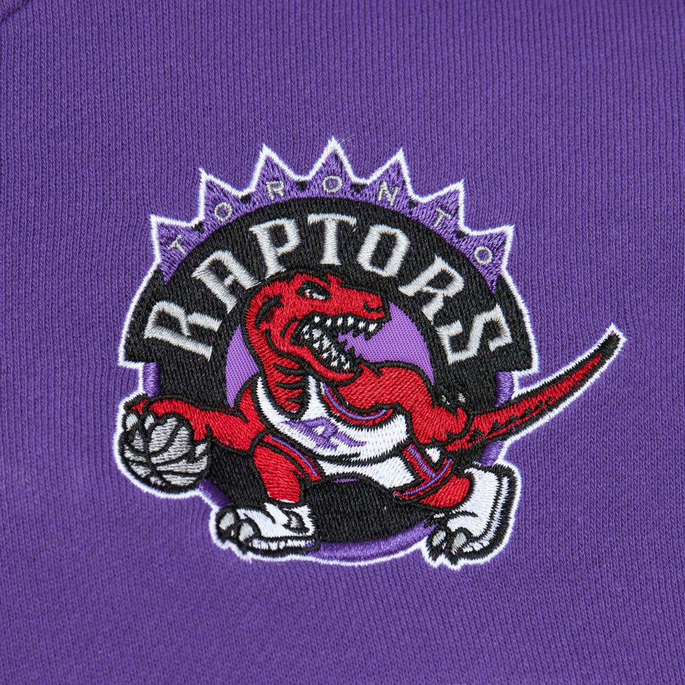 Red/Purple Toronto Raptors Head Coach Pullover Hoodie | NBA