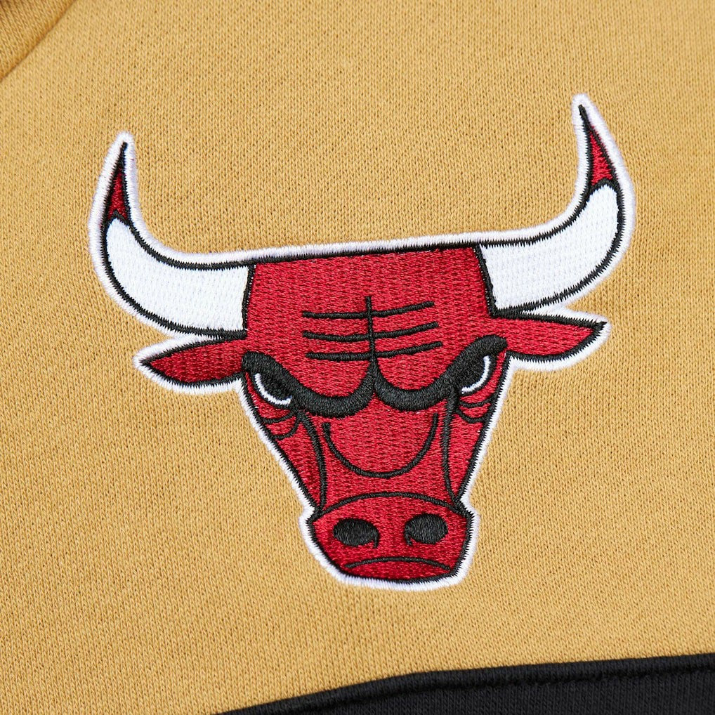 Red/Gold Chicago Bulls Head Coach Pullover Hoodie | NBA