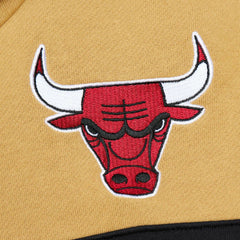 Red/Gold Chicago Bulls Head Coach Pullover Hoodie | NBA