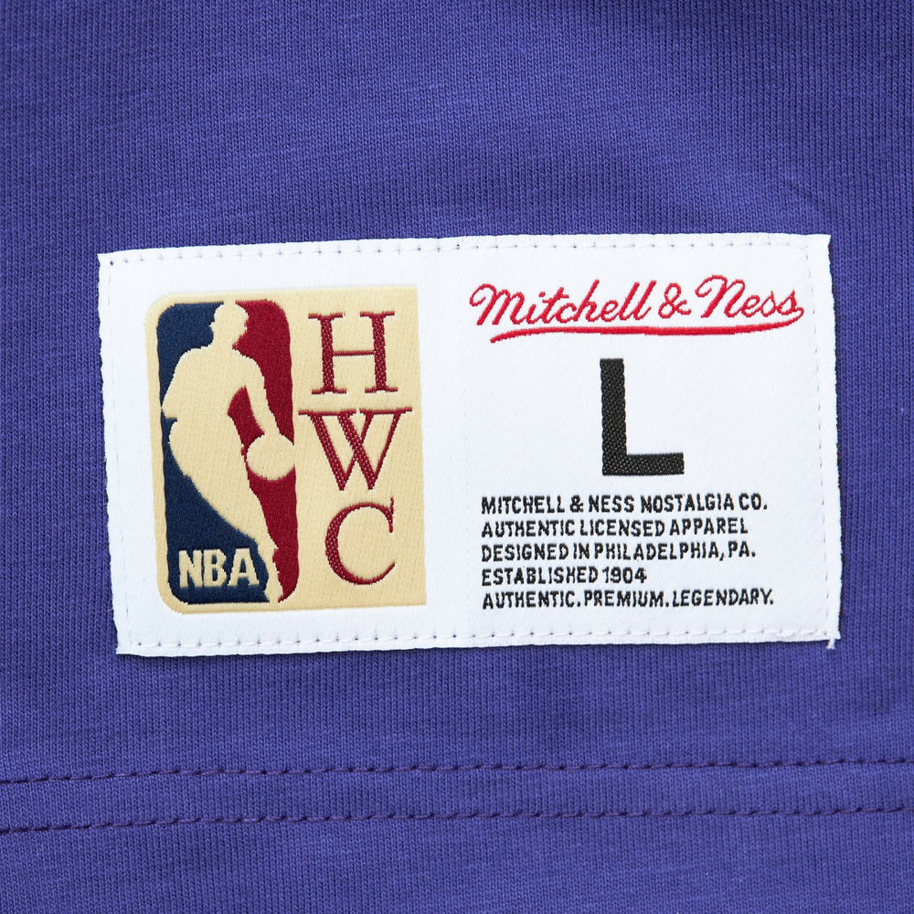 Purple Milwaukee Bucks Hardwood Classics Team OG 2.0 Premium Vintage Logo T-Shirt | NBA