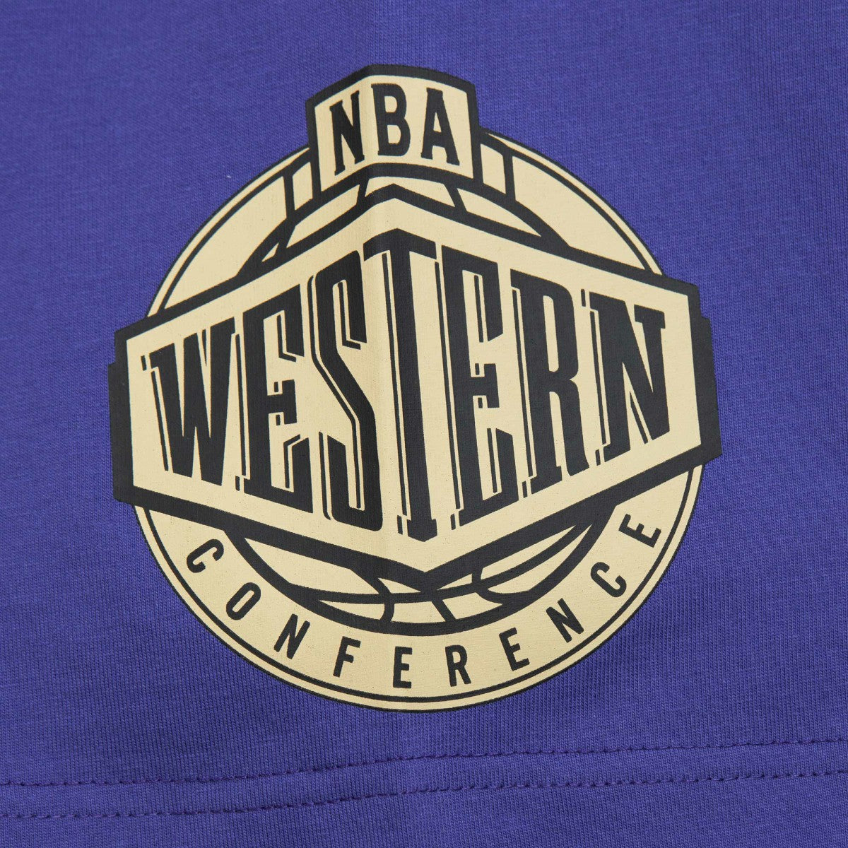 Purple Phoenix Suns Hardwood Classics Team OG 2.0 Premium Vintage Logo T-Shirt | NBA