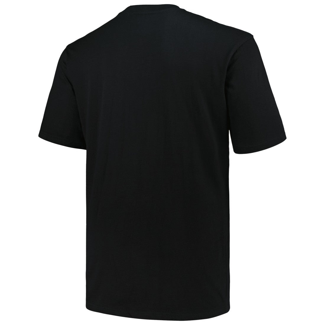 Tennessee Titans Big & Tall Pop T-Shirt | NFL Sale