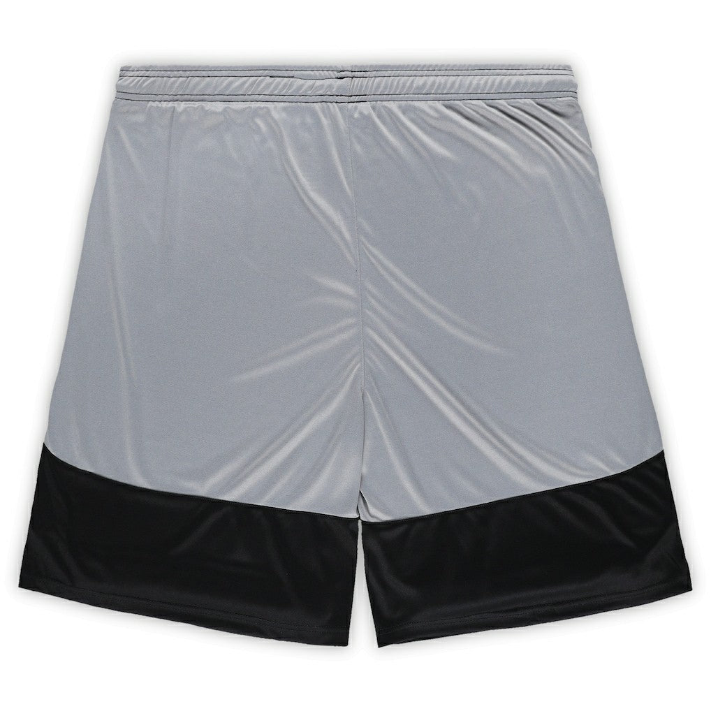 Las Vegas Raiders Big & Tall Team Logo Shorts | NFL On sale