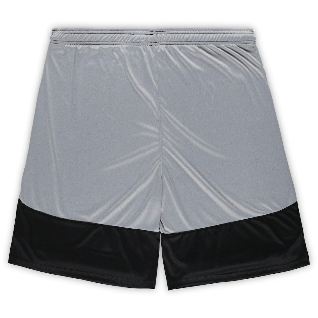 Pittsburgh Steelers Big & Tall Team Logo Shorts | NFL On sale