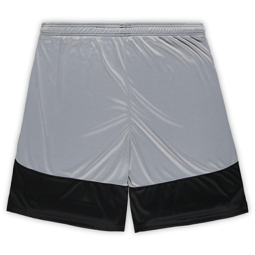 Pittsburgh Steelers Big & Tall Team Logo Shorts | NFL On sale