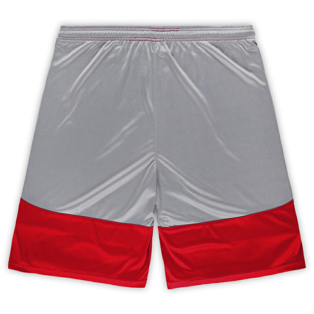 San Francisco 49ers Big & Tall Team Logo Shorts | NFL Discount