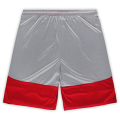 San Francisco 49ers Big & Tall Team Logo Shorts | NFL Discount