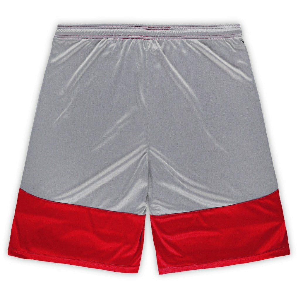 Arizona Cardinals Big & Tall Team Logo Shorts | NFL Discount