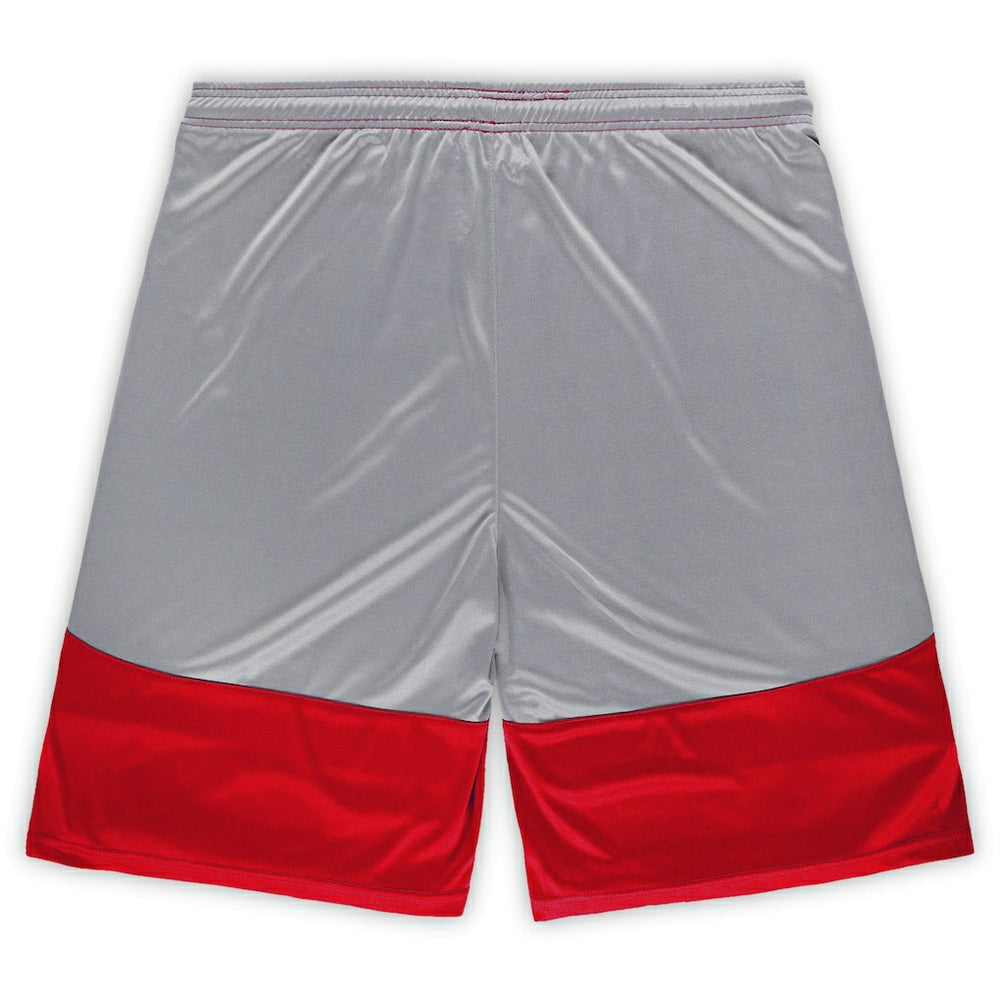 Arizona Cardinals Big & Tall Team Logo Shorts | NFL Discount