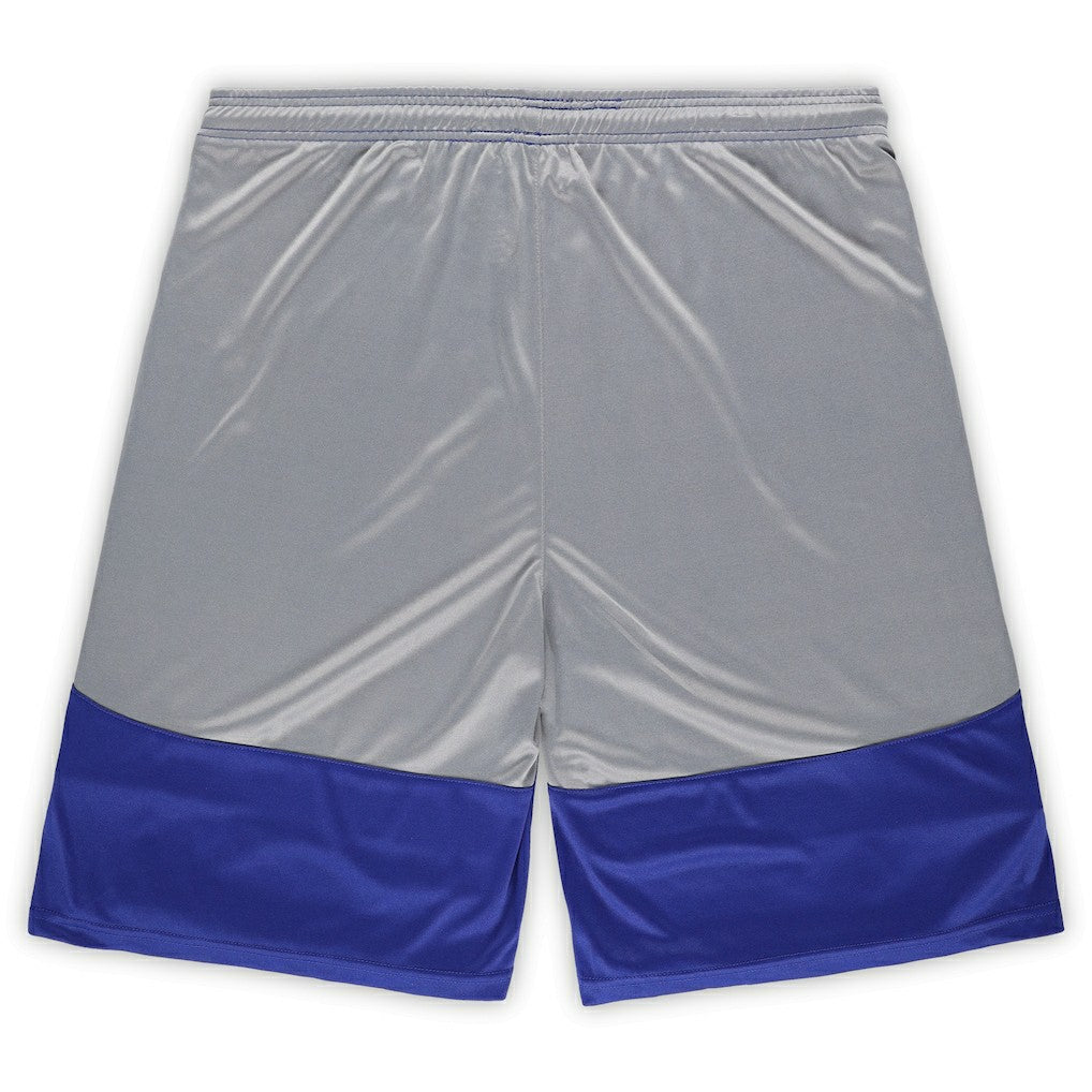 Indianapolis Colts Big & Tall Team Logo Shorts | NFL Outlet