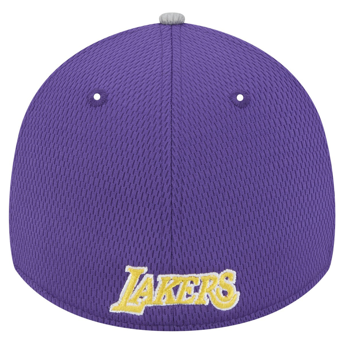 Gray/Purple Los Angeles Lakers Active Trim 39THIRTY Flex Hat | NBA