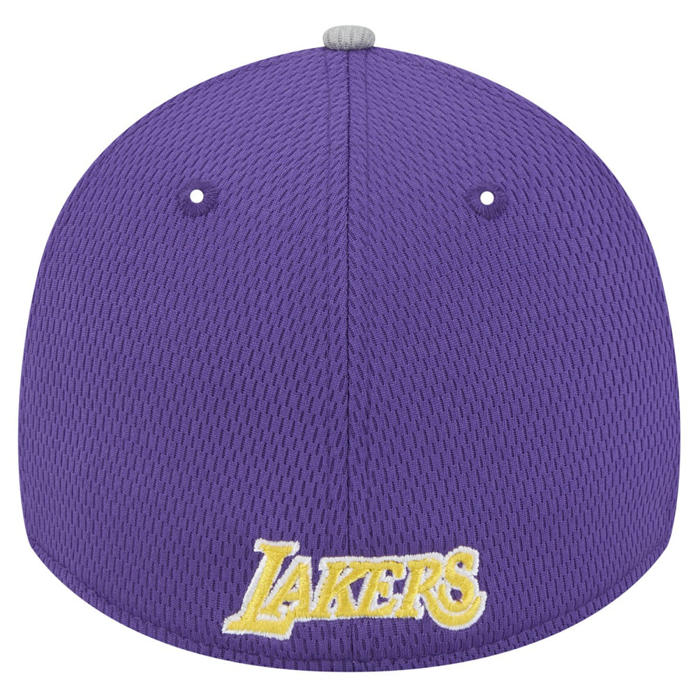 Gray/Purple Los Angeles Lakers Active Trim 39THIRTY Flex Hat | NBA