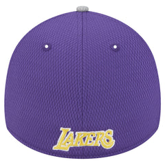 Gray/Purple Los Angeles Lakers Active Trim 39THIRTY Flex Hat | NBA