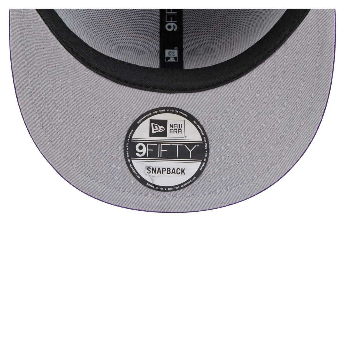 Purple Phoenix Suns Throwback Display Corduroy 9FIFTY Snapback Hat | NBA