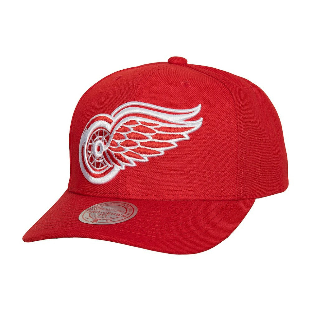 Detroit Red Wings Mitchell & Ness Team Ground Pro Adjustable Hat -  NHL Hats