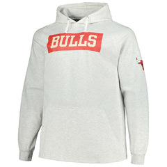 Ash Chicago Bulls Big & Tall Raglan Tri-Blend Pullover Hoodie sale | NBA